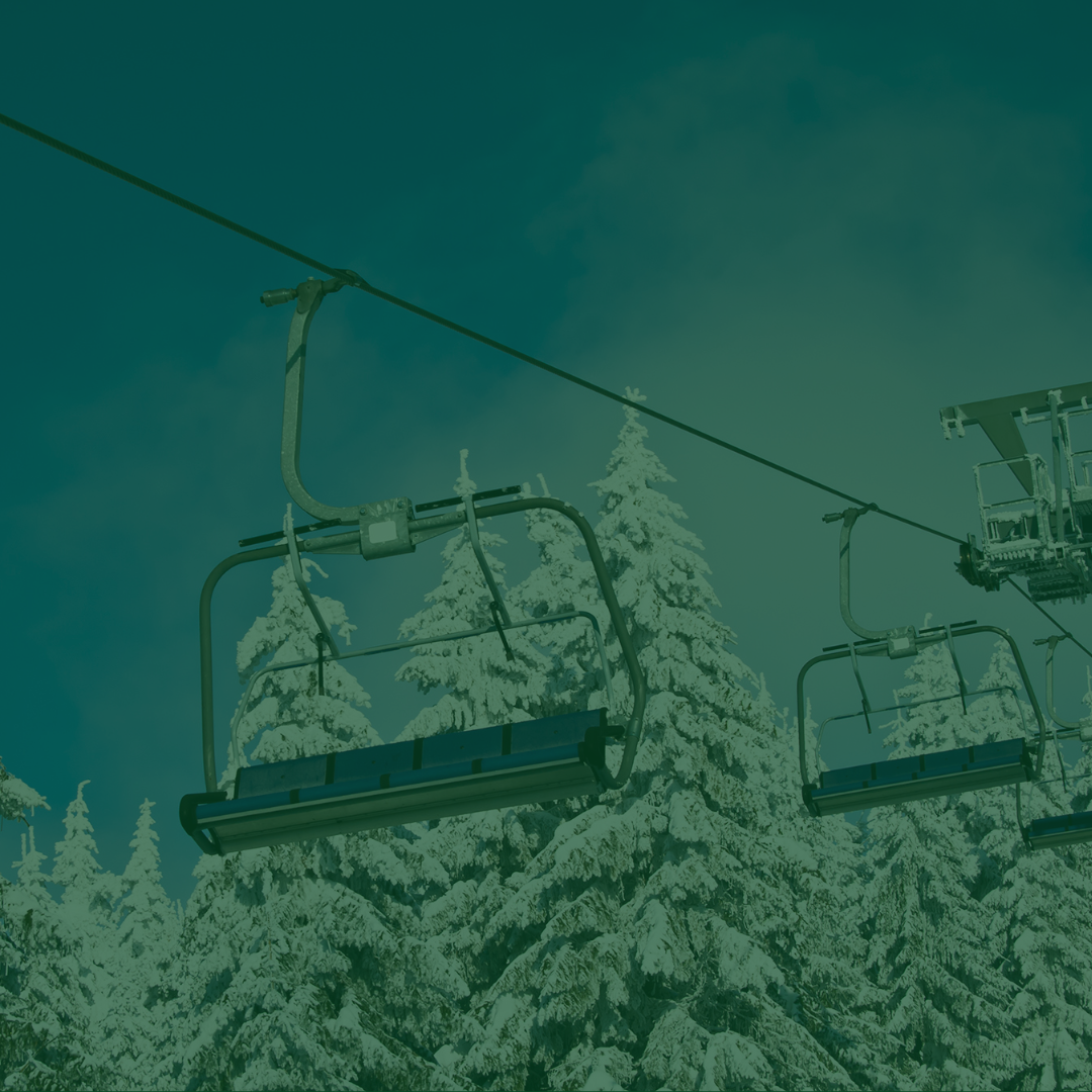 The Avid Skier