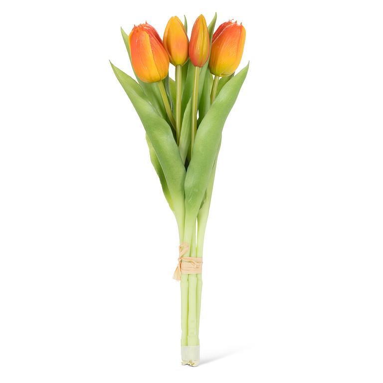 Tulip Bunch - 5 stem