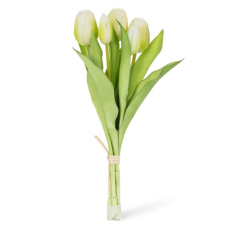 Tulip Bunch - 5 stem