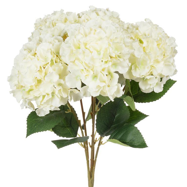 5 Stem Hydrangea Bouquet - 20"
