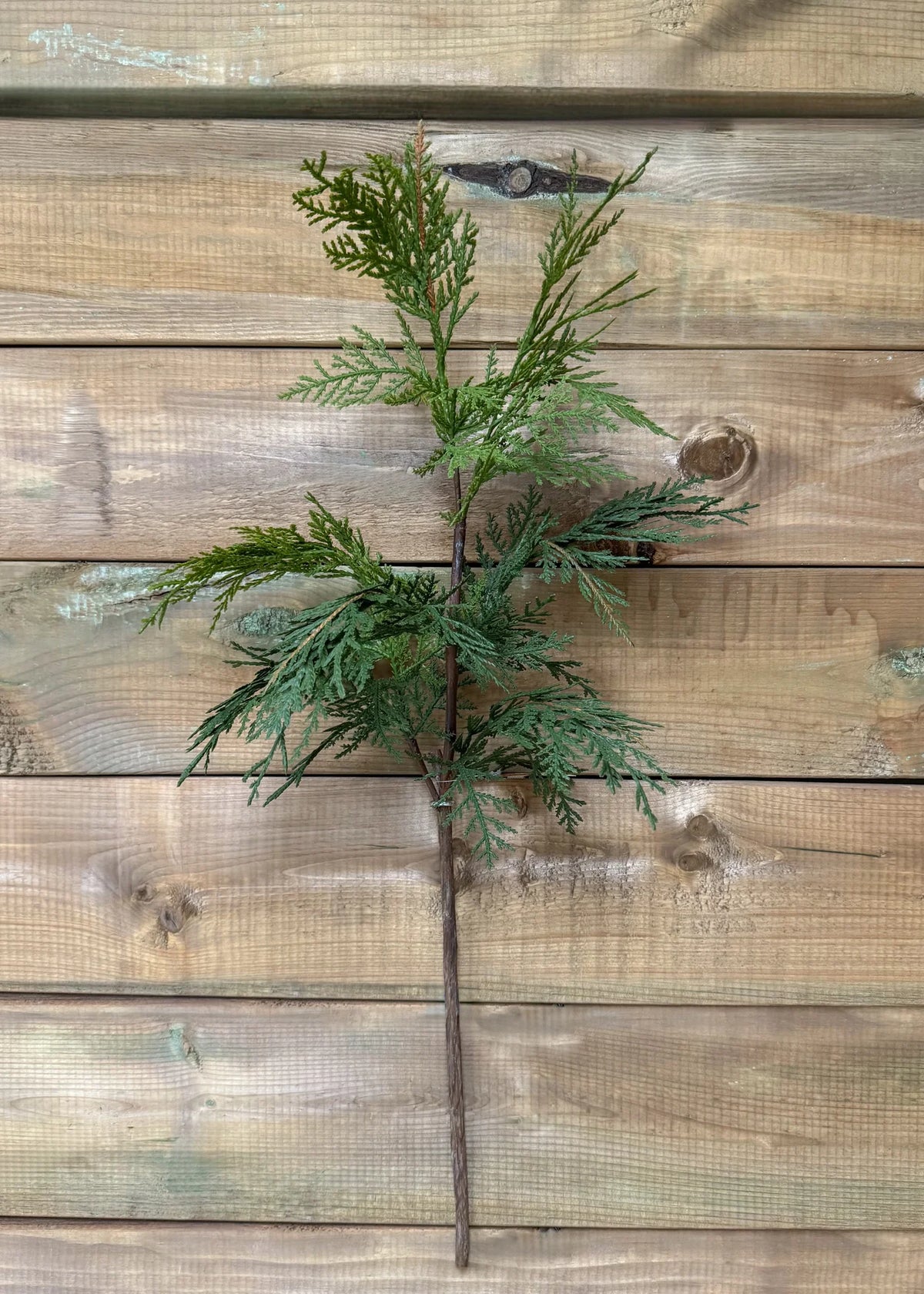 Fresh Touch Northern White Cedar Spray - 28"