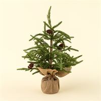 Winterwood Tabletop Tree L