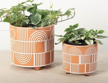 Terrcotta Flower Pot