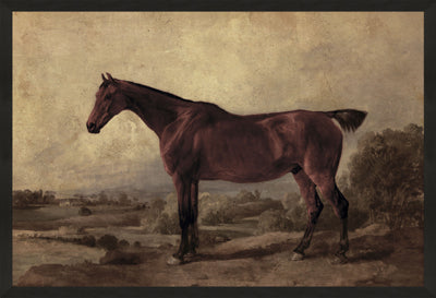 Vintage Horse - 25" x 37"