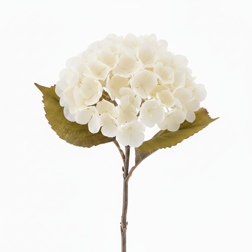 Hydrangea Floral Stem - White