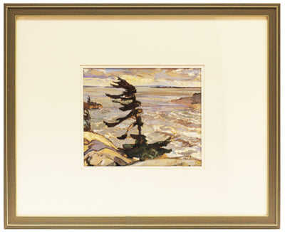 Jack Pine - 18" X 24"