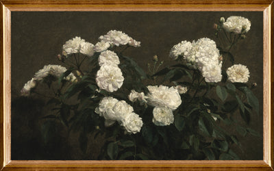 Still Life White Roses - 23" x 34-7/8"