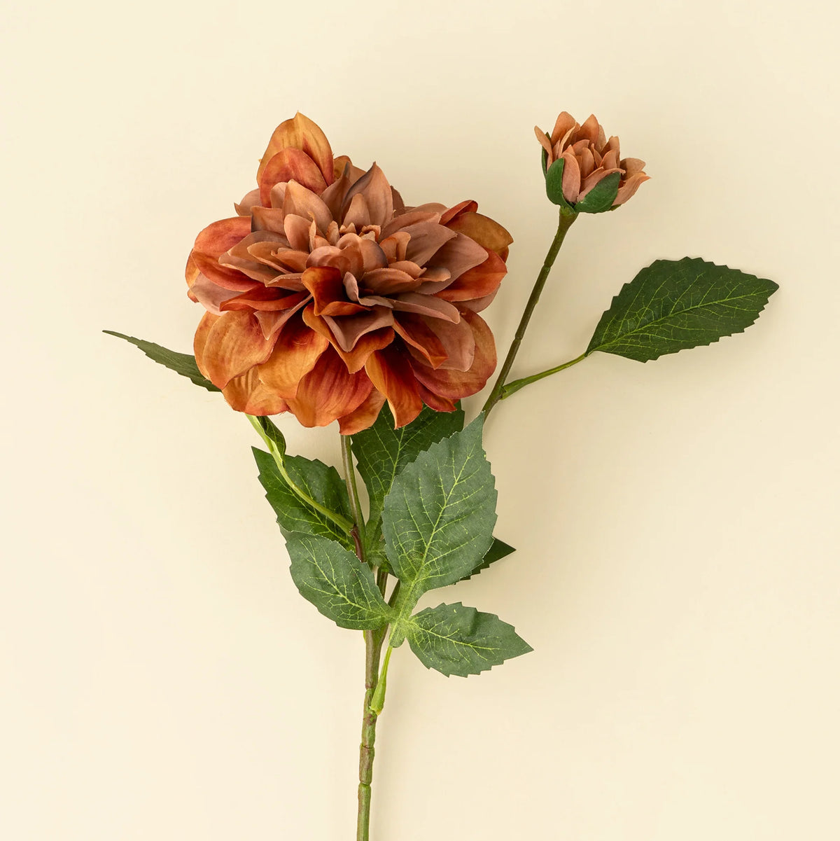 Dahlia Stem - Terracotta