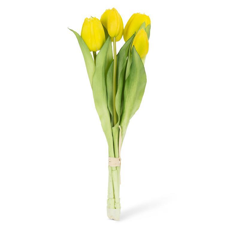 Tulip Bunch - 5 stem