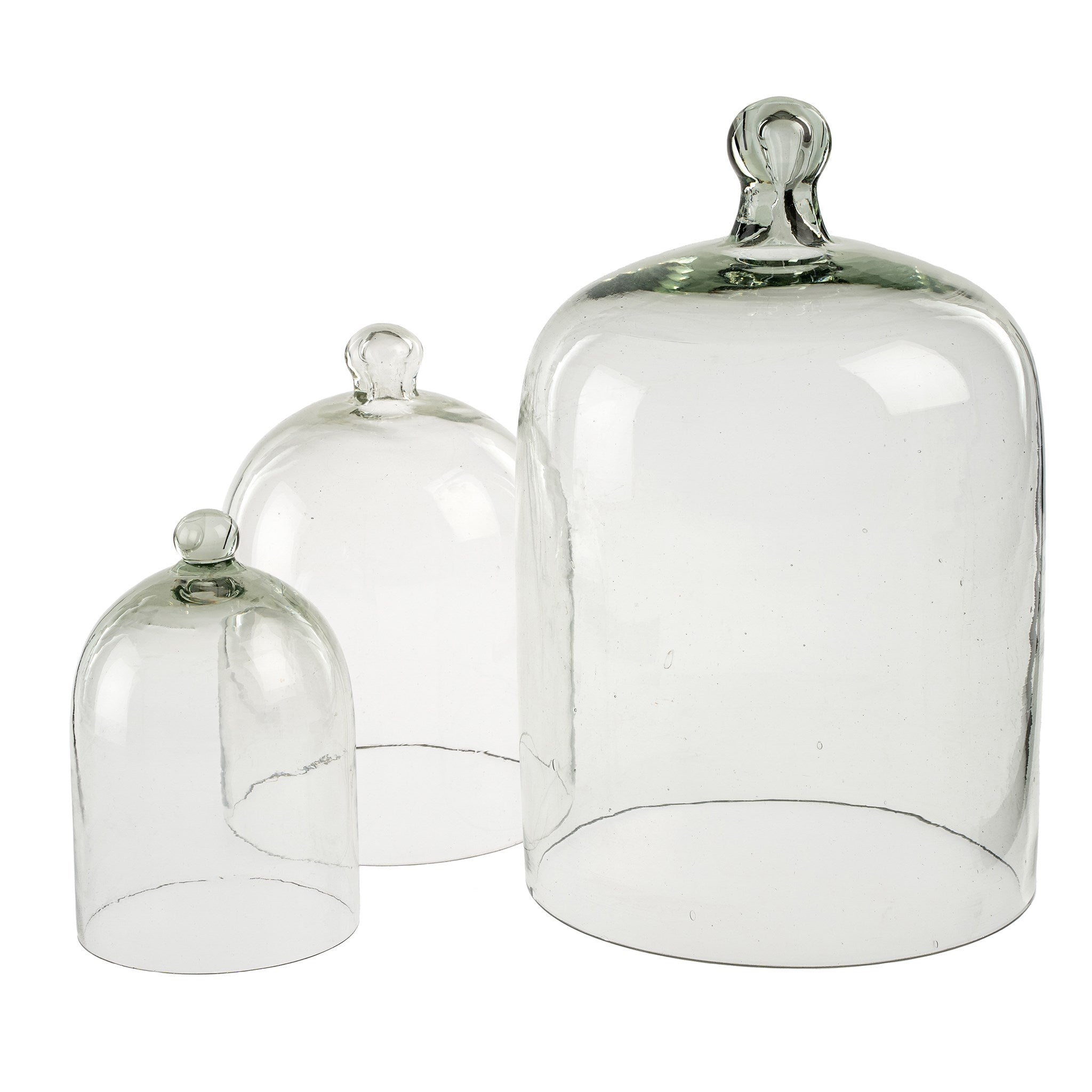 Glass Cloche