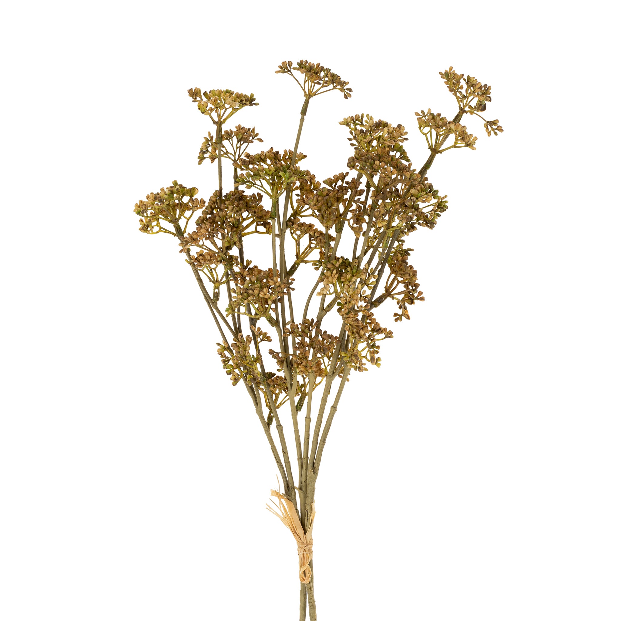 Meadow Grass Bouquet _ Autumn