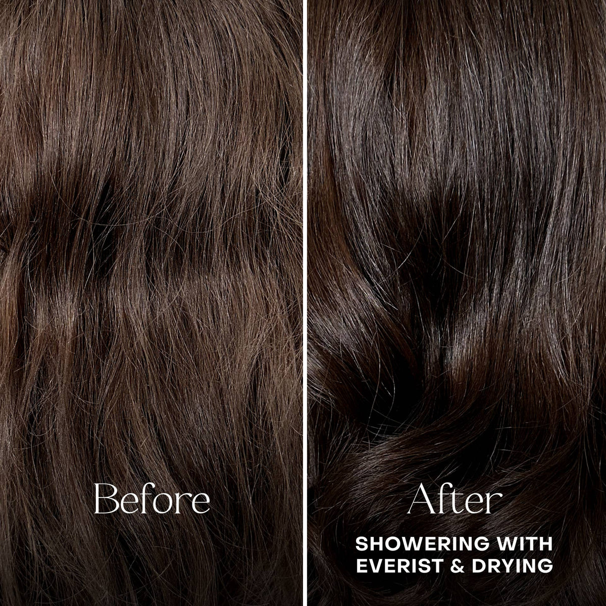The Shower Essentials Travel Kit