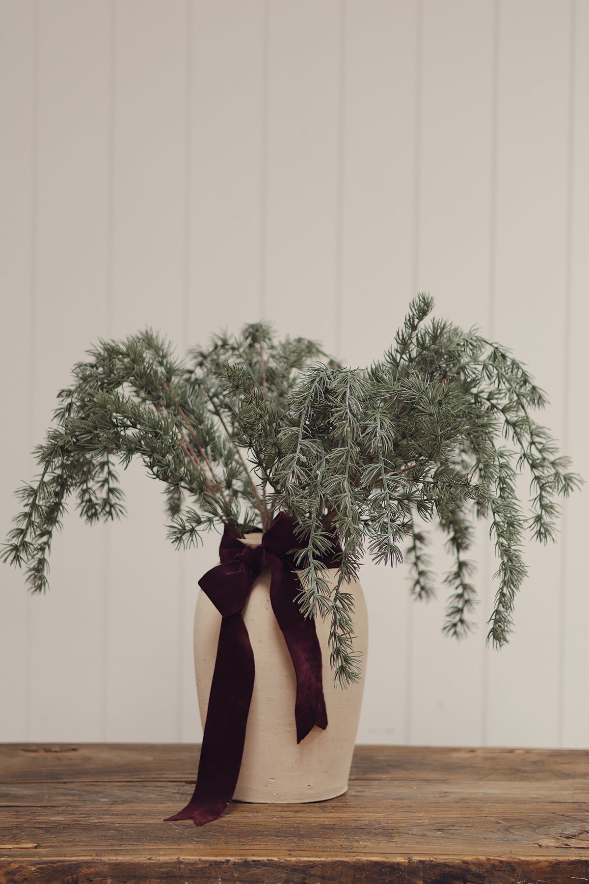 Evergreen Larch Sprig