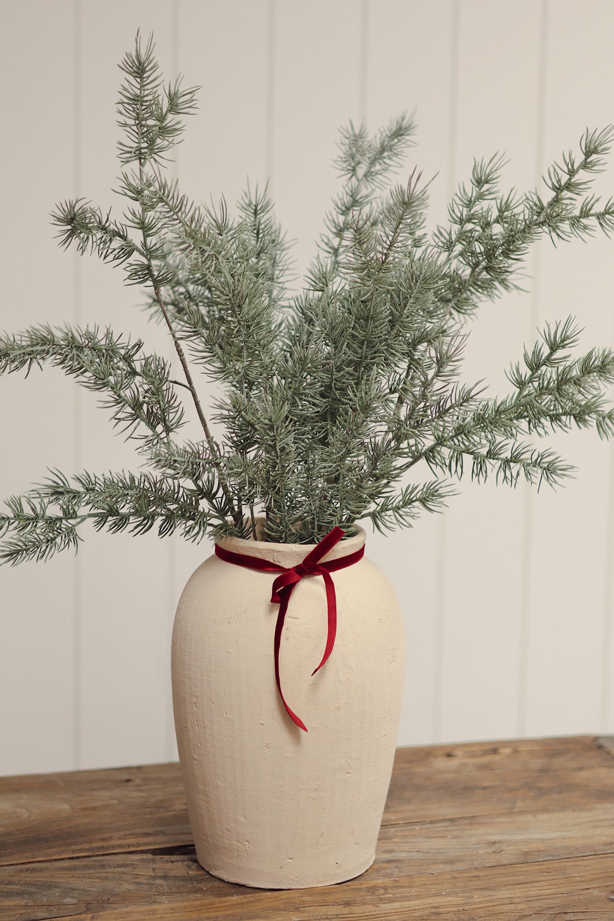 Cypress Sprig