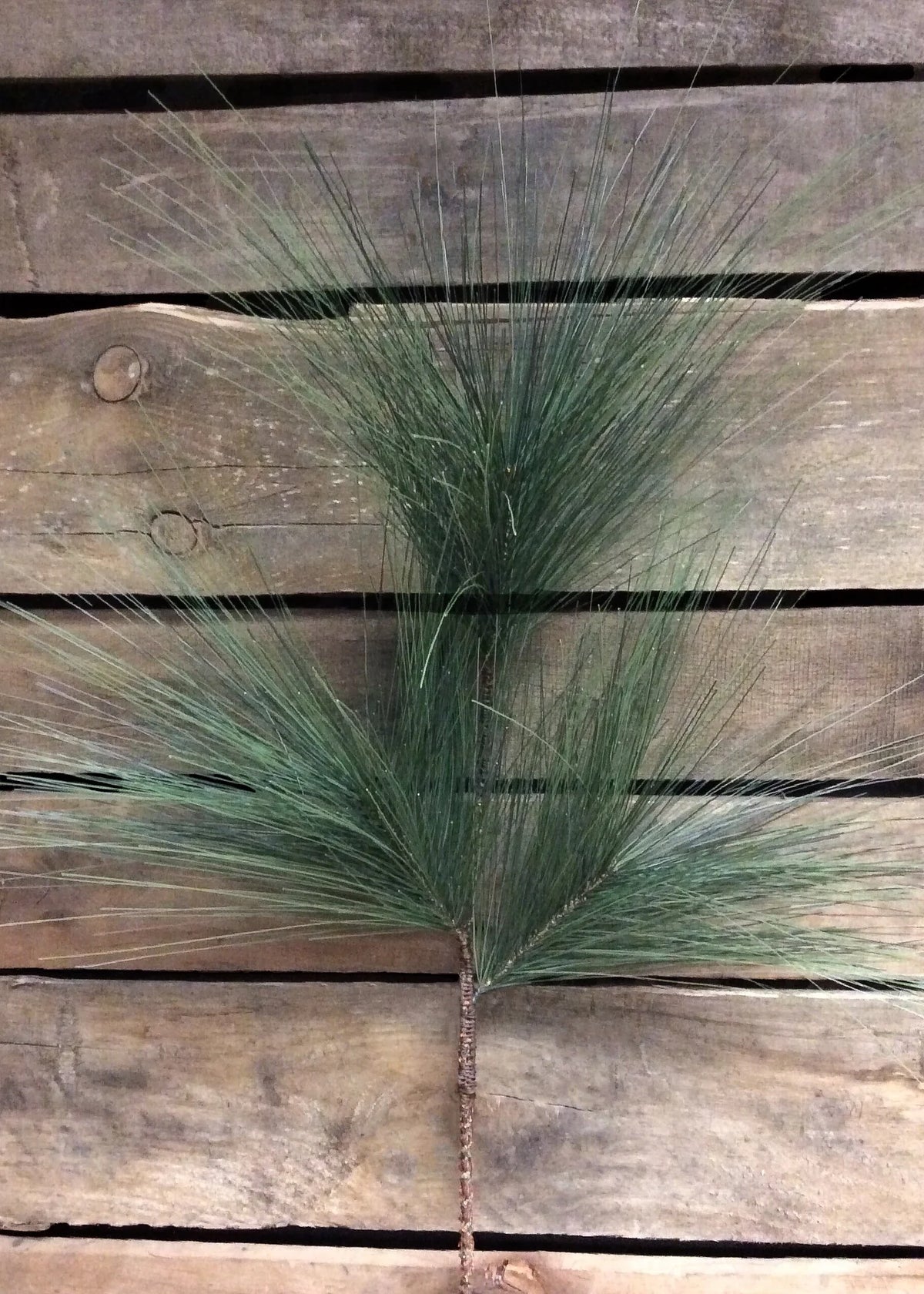 Pine Pick 26"