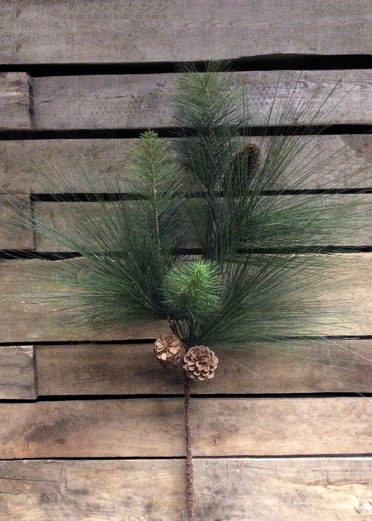Pine Spray with Pine Cones - 30"