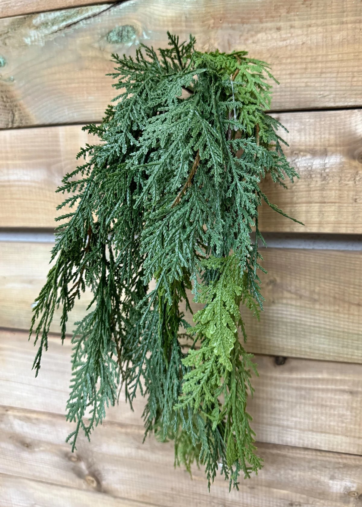 Fresh Touch Northern White Cedar Hanging Bush - 29"