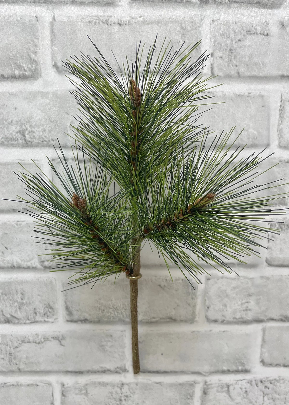 Mugo Pine Spray - 12"