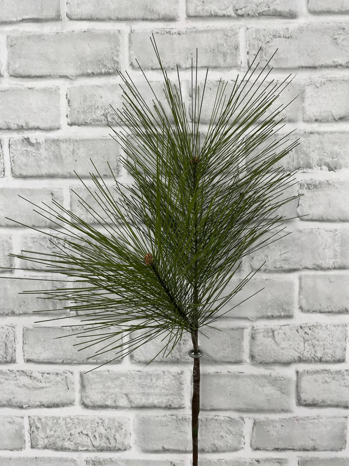 Long Needle Mugo Pine Needle Spray - 28"