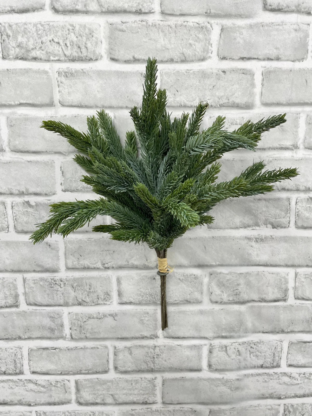 15"  Blue Spruce Bundle - 15"