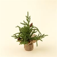Winterwood Tabletop Tree S