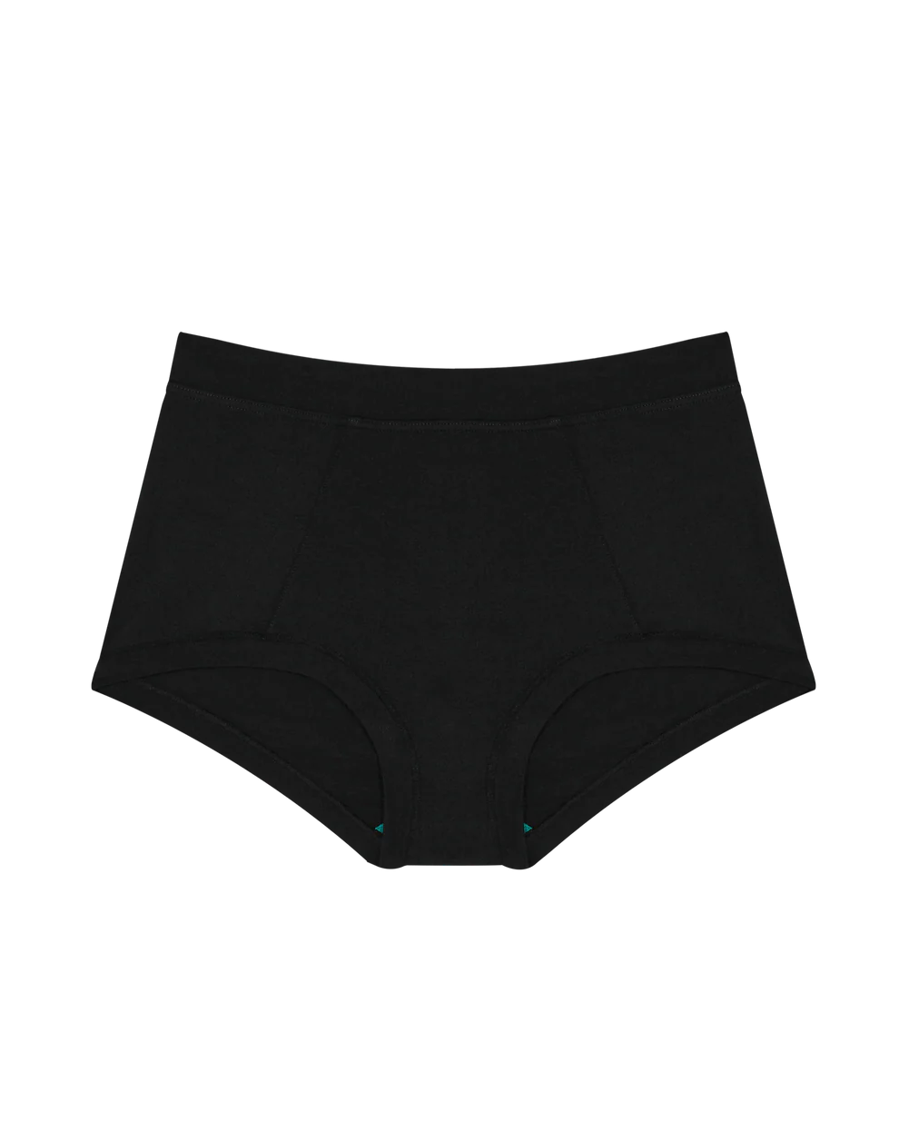 Brief Mineral Underwear