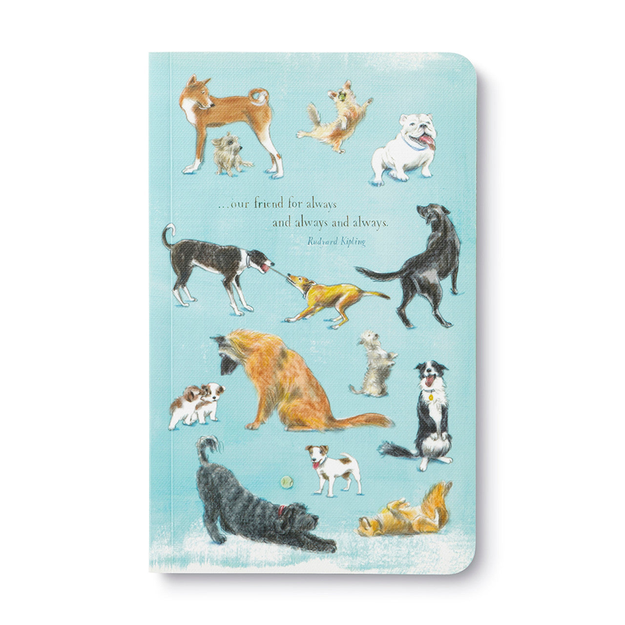Write Now Journals