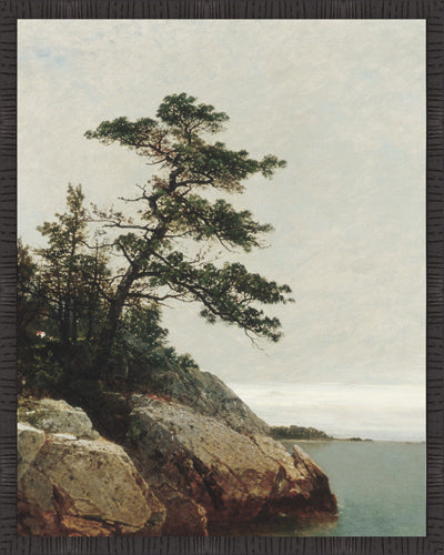 The Old Pine - 18.5" x 22.5"