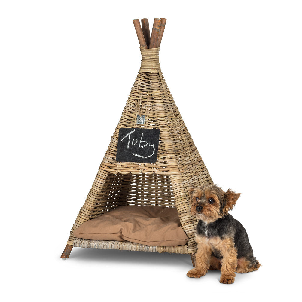 Pet Tent with Cushion - Medium