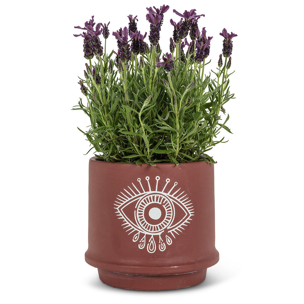 Large Eye Planter - 7" deep