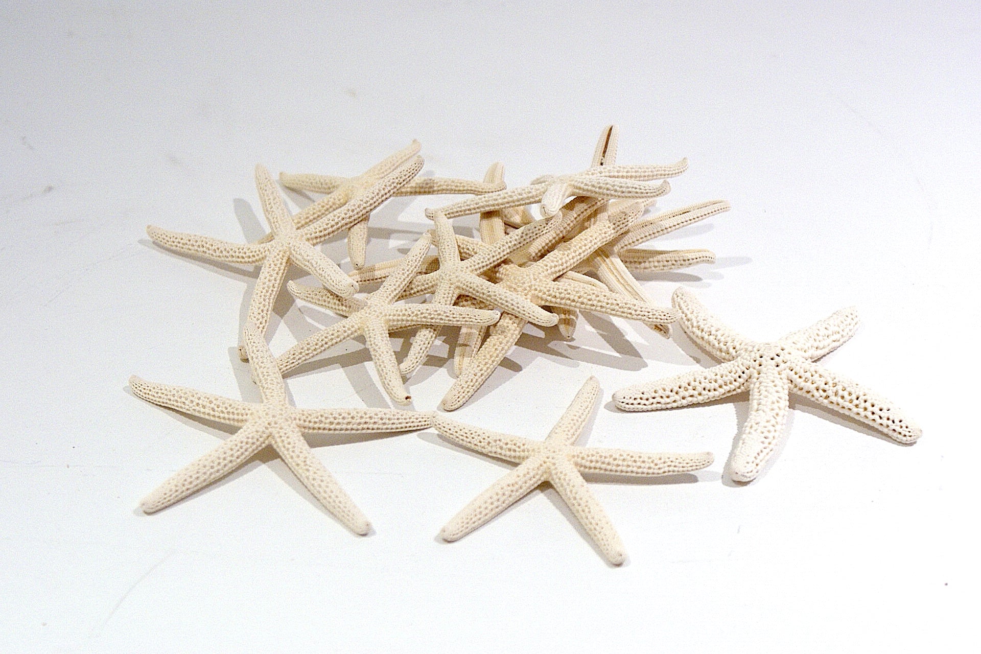 Mini Lady Finger Starfish