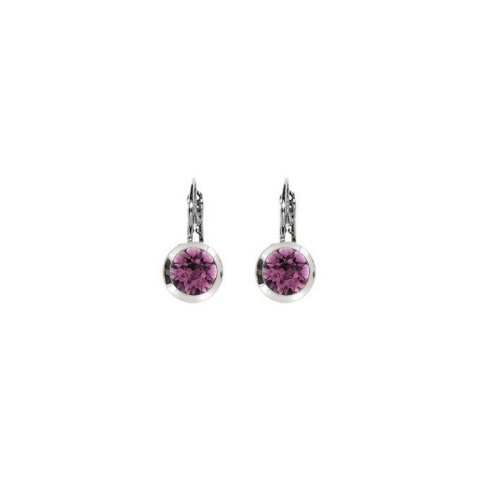 Bright Rhodium Small Round Euroback Earrings in Amethyst