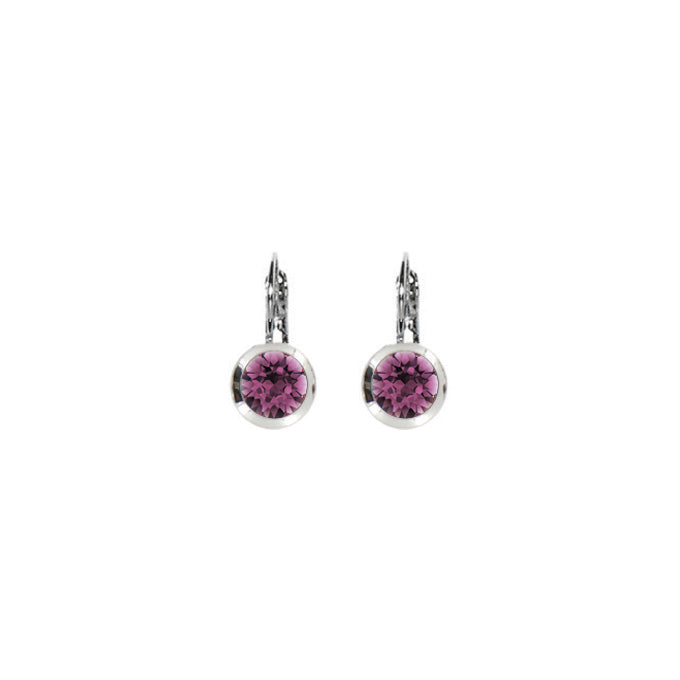 Bright Rhodium Small Round Euroback Earrings - Amethyst