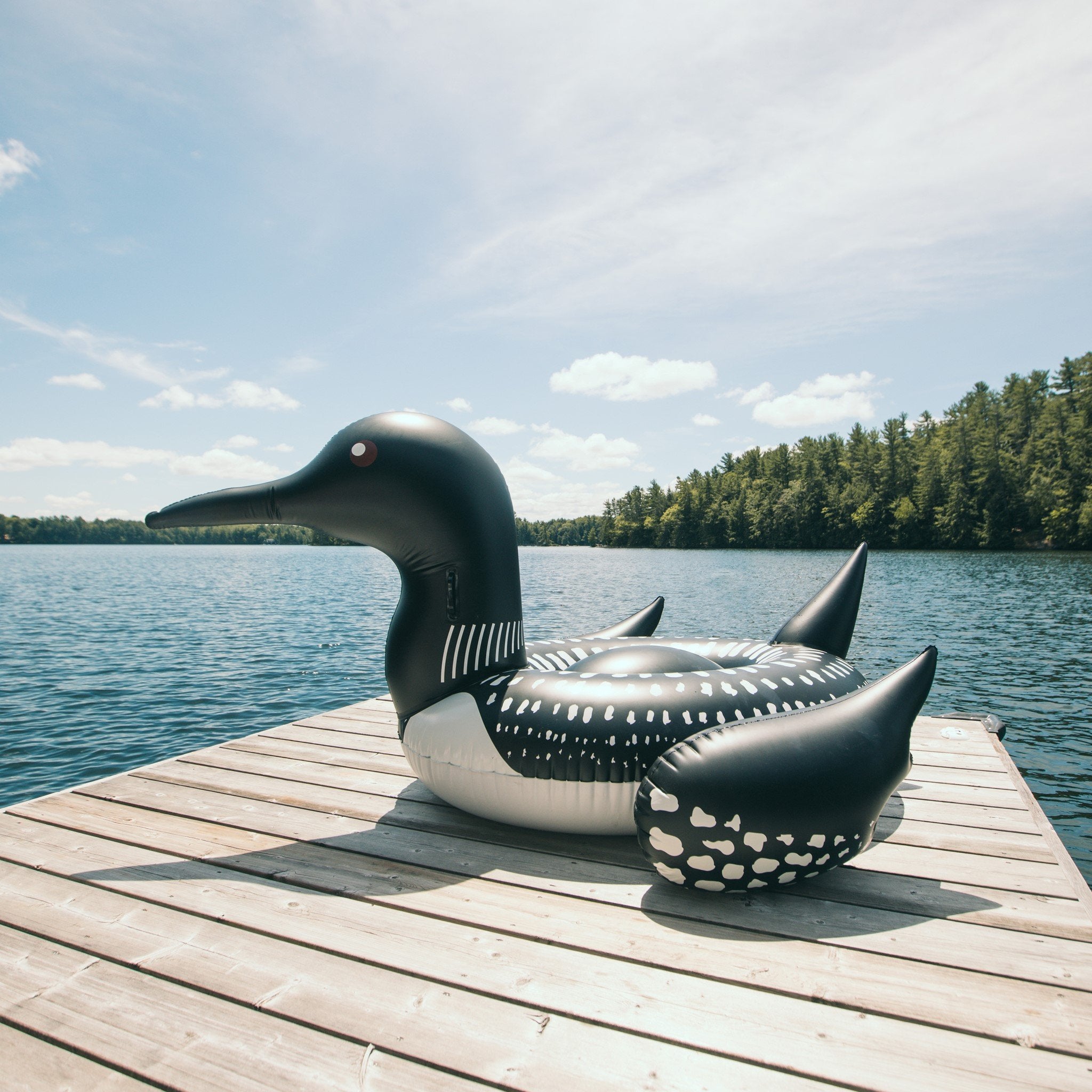 The Loon - Adult Swimming Pool Float